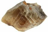 Golden, Calcite Crystal - Morocco #223335-1